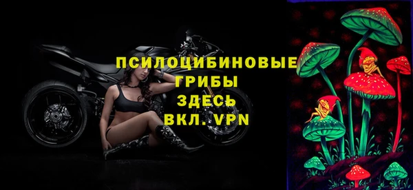 ГАЛЛЮЦИНОГЕННЫЕ ГРИБЫ Вязники