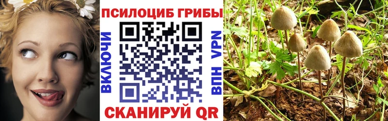 Псилоцибиновые грибы мухоморы  Владикавказ 